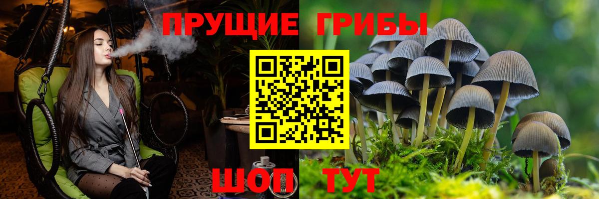 Галлюциногенные грибы ЛСД  Псилоцибиновые грибы ЛСД  Вход с VPN  Димитровград 
