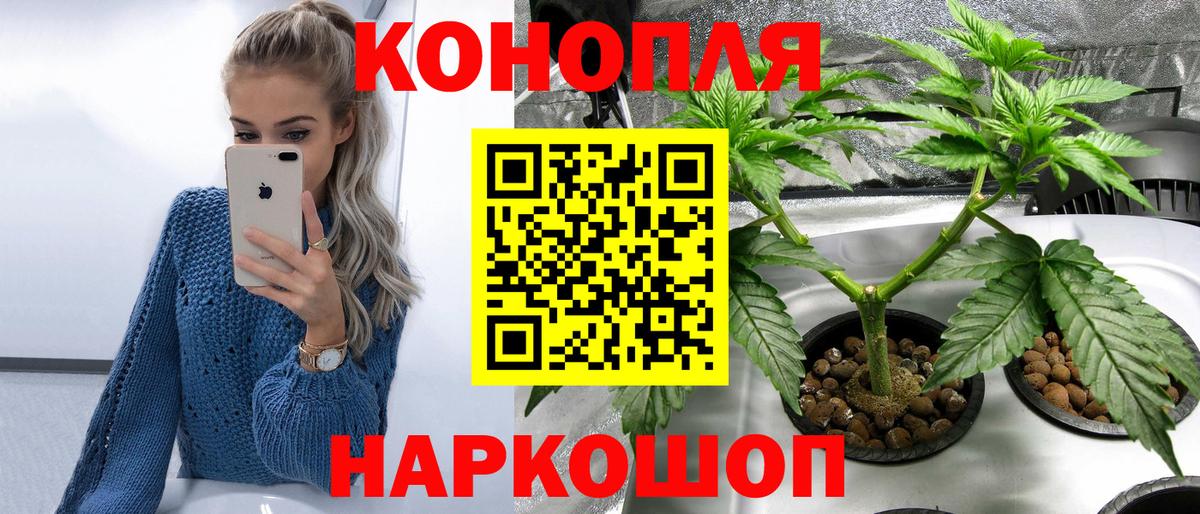 Бошки марихуана конопля  Бошки марихуана планчик  МАРИХУАНА Bruce Banner  Димитровград  Вход с VPN  МАРИХУАНА OG Kush 